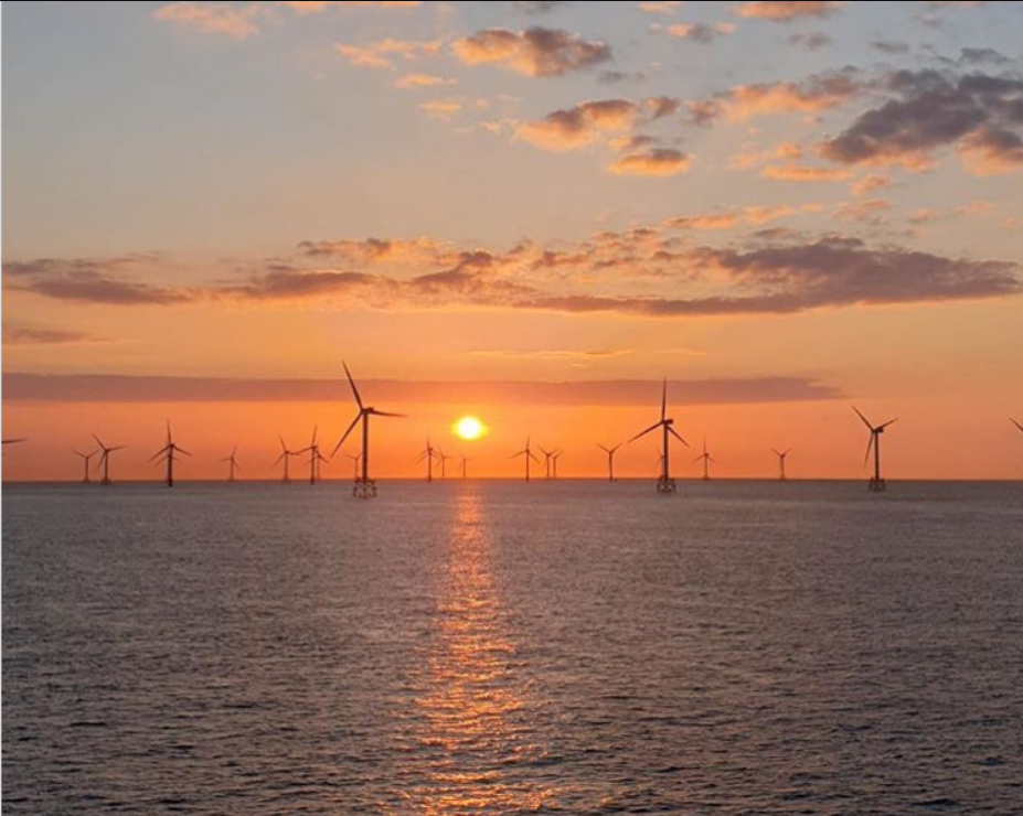 Norther offshore wind farm at sundown