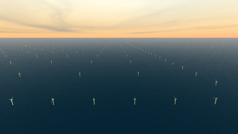 Sofia offshore array